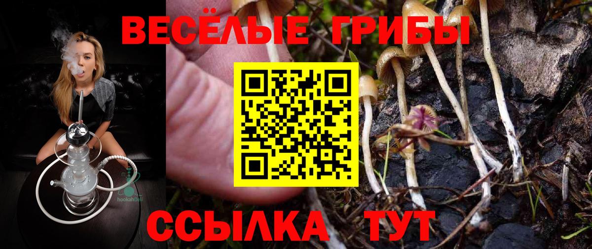 Минусинск  Галлюциногенные грибы ЛСД  Вход с VPN 